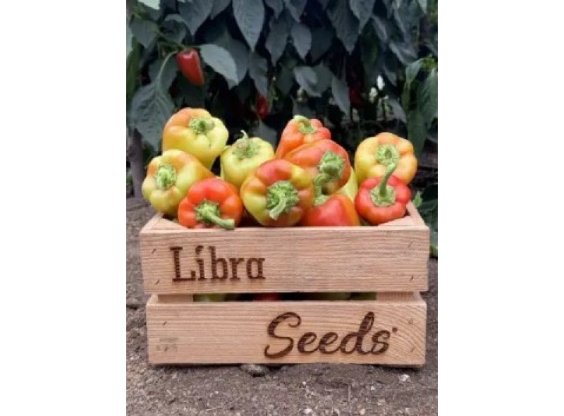 Рубикон F1 - семена сладкого перца, 1000сем., Libra Seeds Рубикон F1 - семена сладкого перца, 1000сем., Libra Seeds